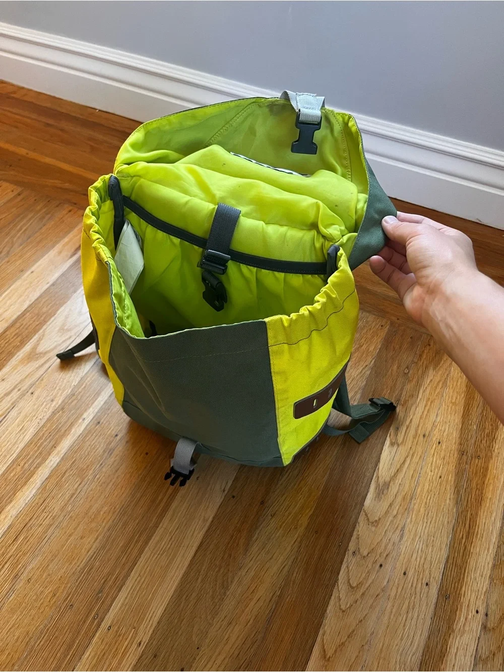 Patagonia Green Daypack Bonsai 14L